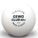 Gewo Training Club 40+ **