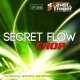 Secret Flow Chop